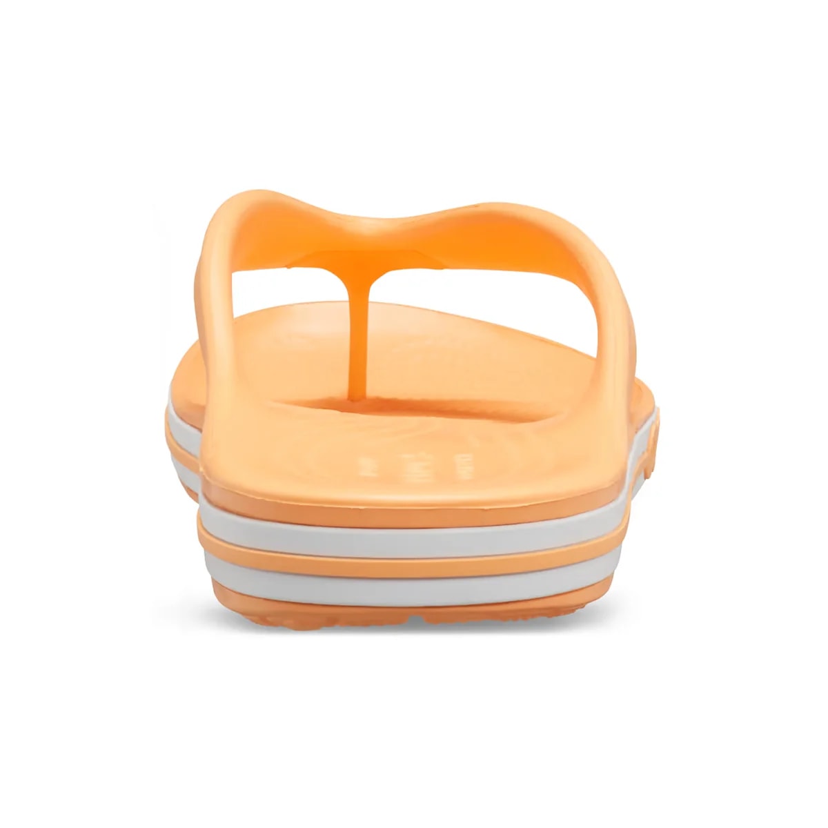 color:Cantaloupe alt:ALT160