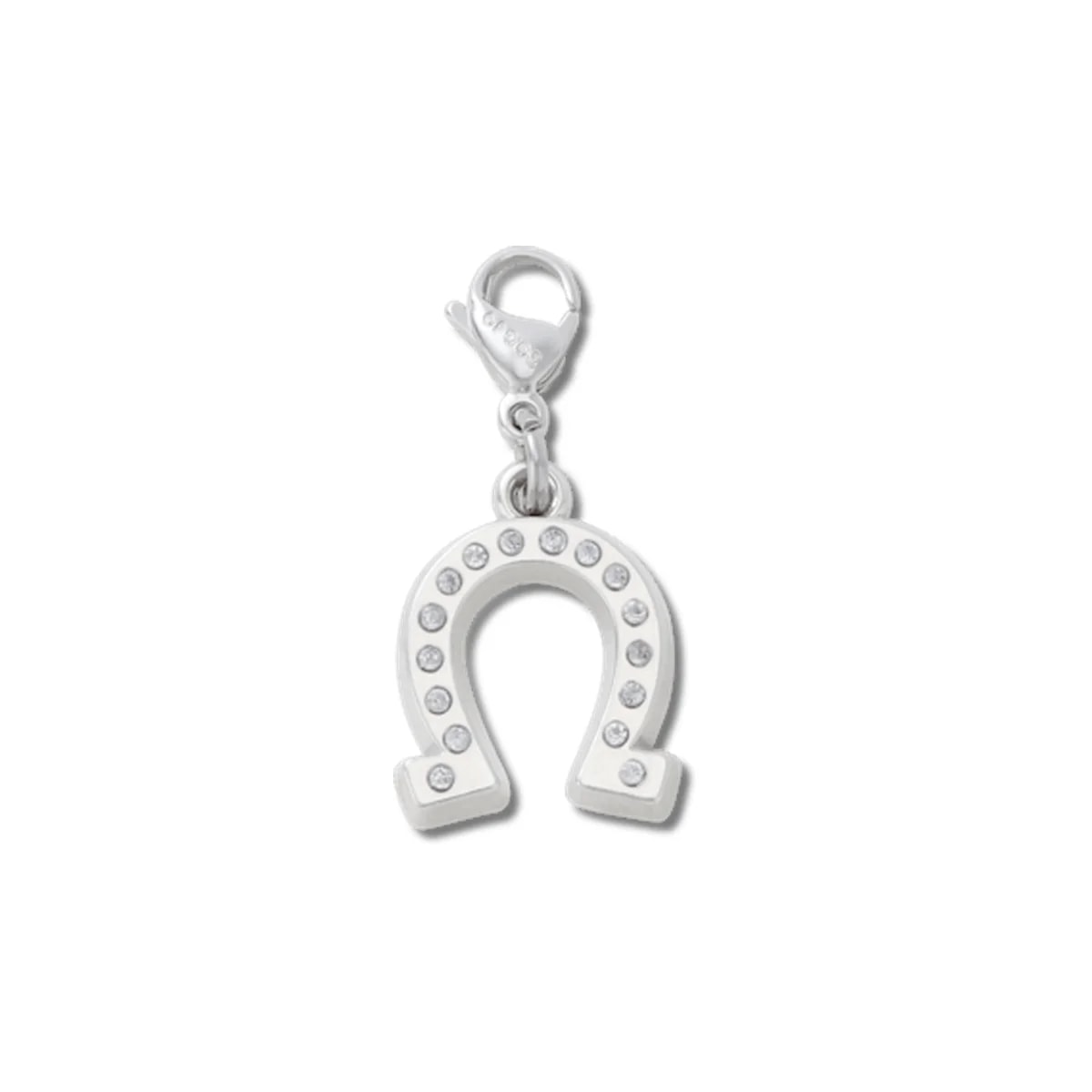 Lucky Silver Horseshoe Charm
