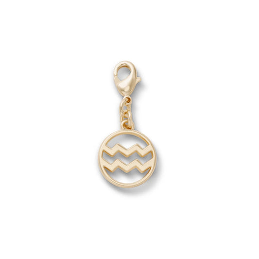 Aquarius Charm