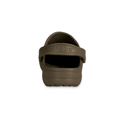 color:Chocolate alt:ALT160