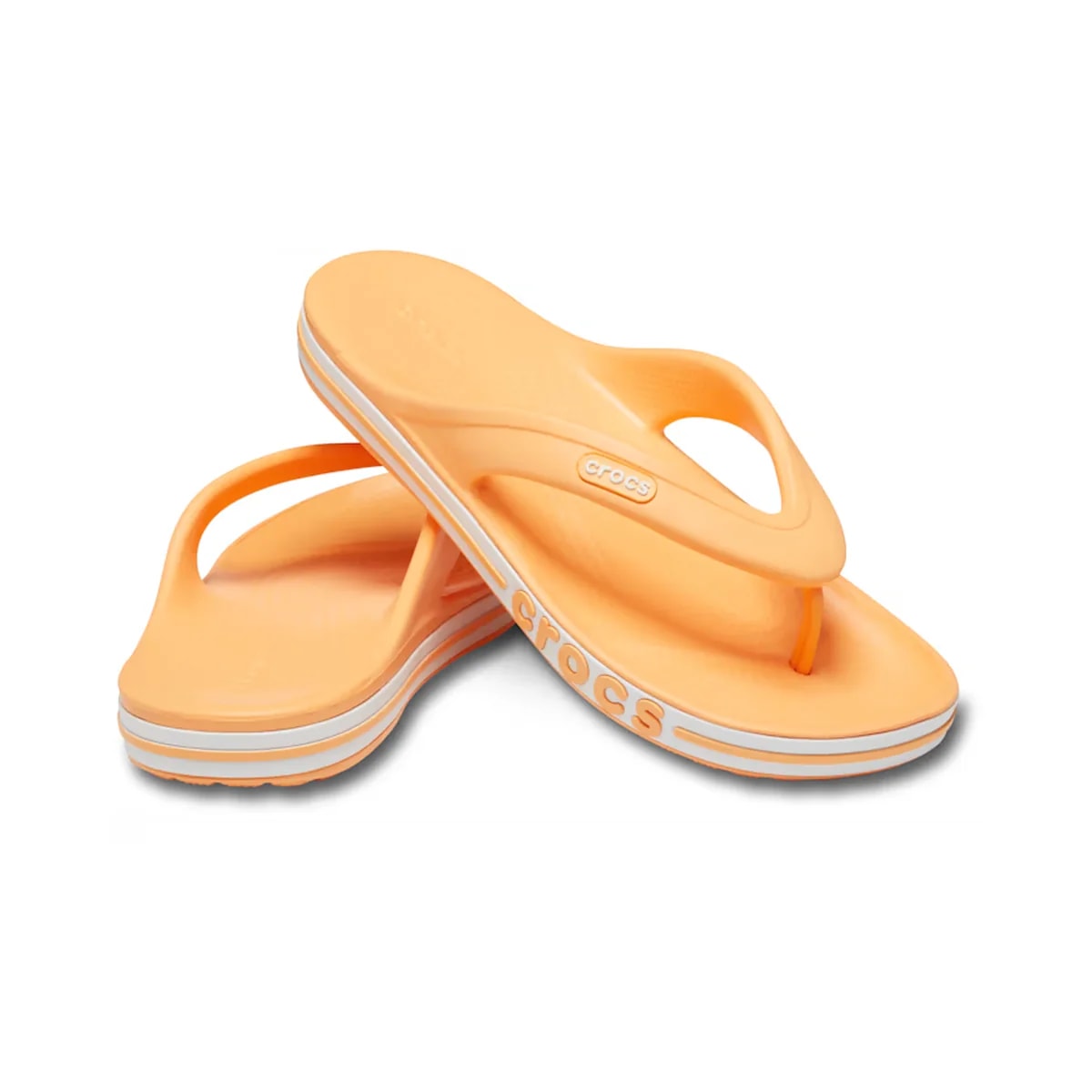 color:Cantaloupe alt:ALT110