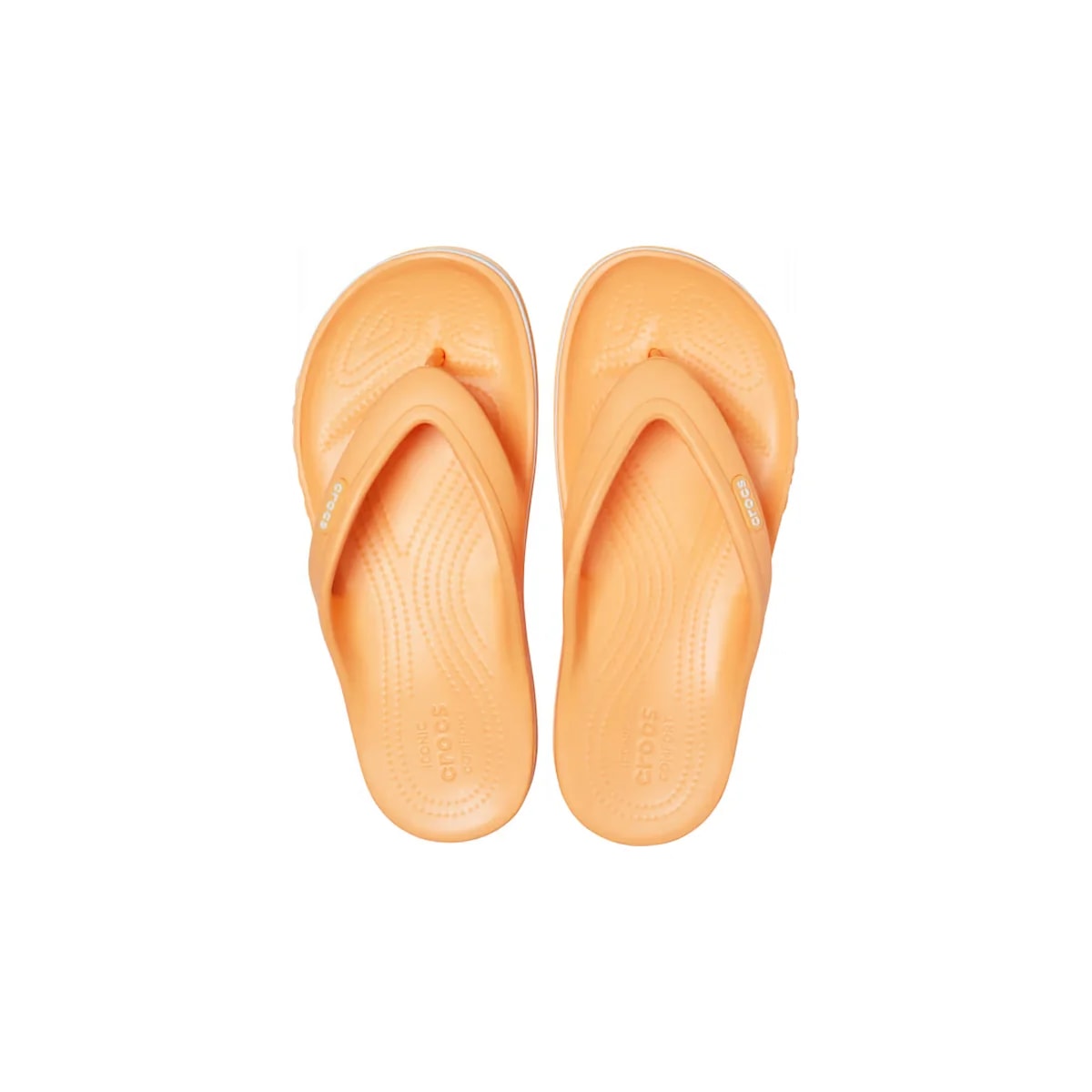 color:Cantaloupe alt:ALT120
