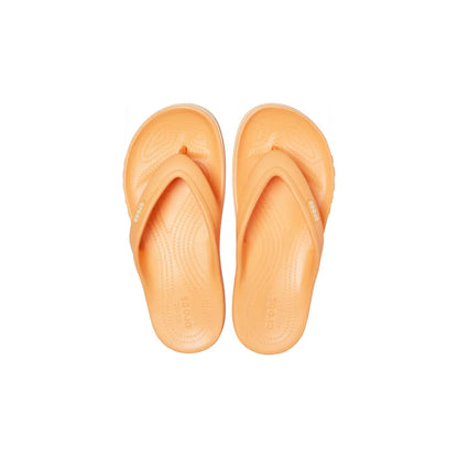 color:Cantaloupe alt:ALT120