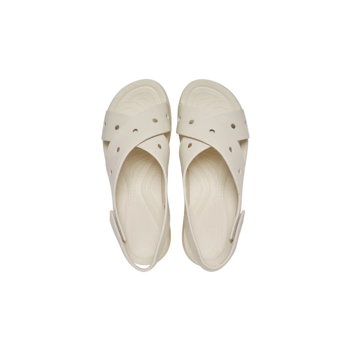 color:Frappé alt:ALT120