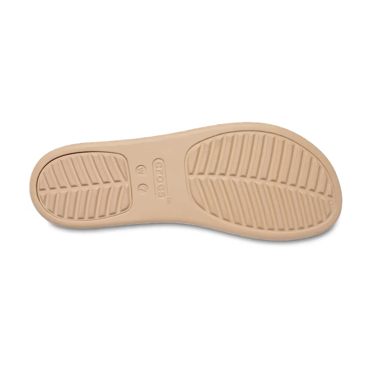 color:Frappé alt:ALT130