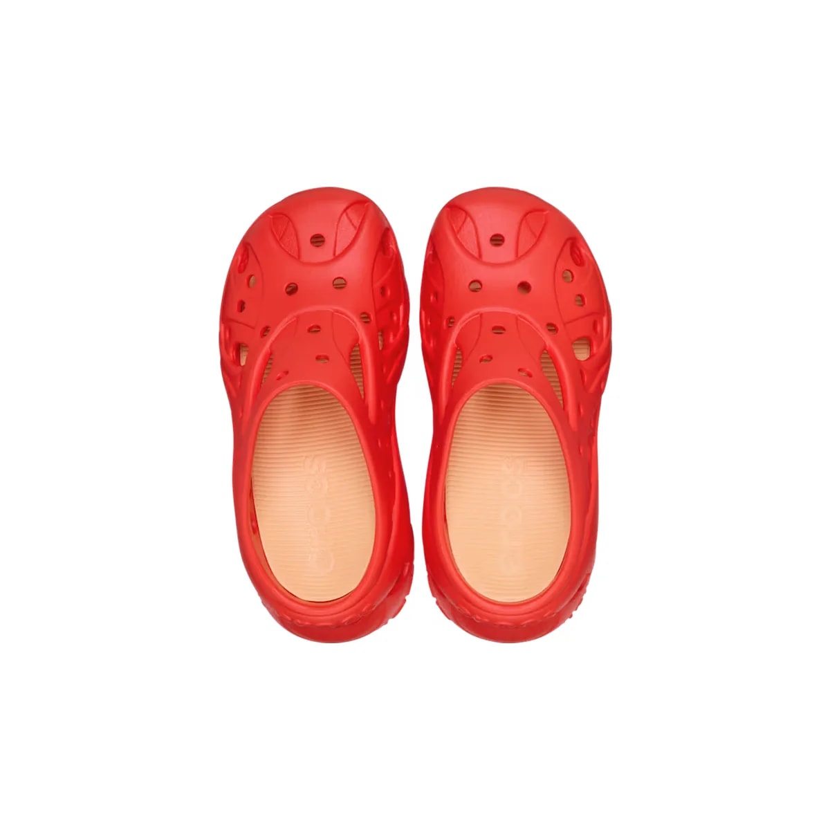 color:Starfish alt:ALT120