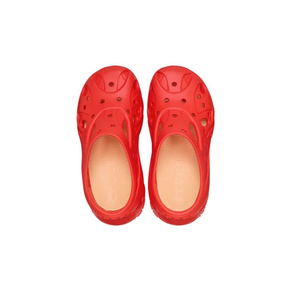 color:Starfish alt:ALT120