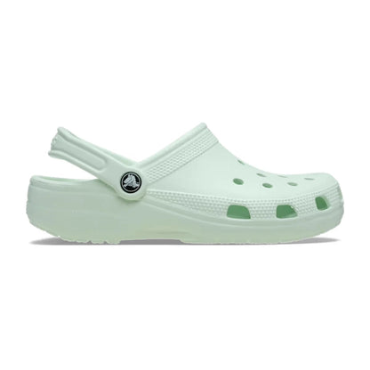 color:Mint Tint alt:ALT100