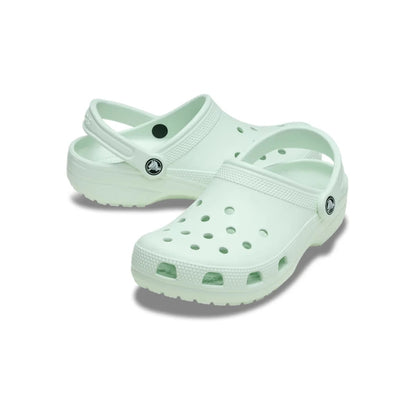 color:Mint Tint alt:ALT110