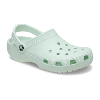 color:Mint Tint alt:ALT140