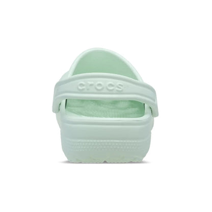 color:Mint Tint alt:ALT160