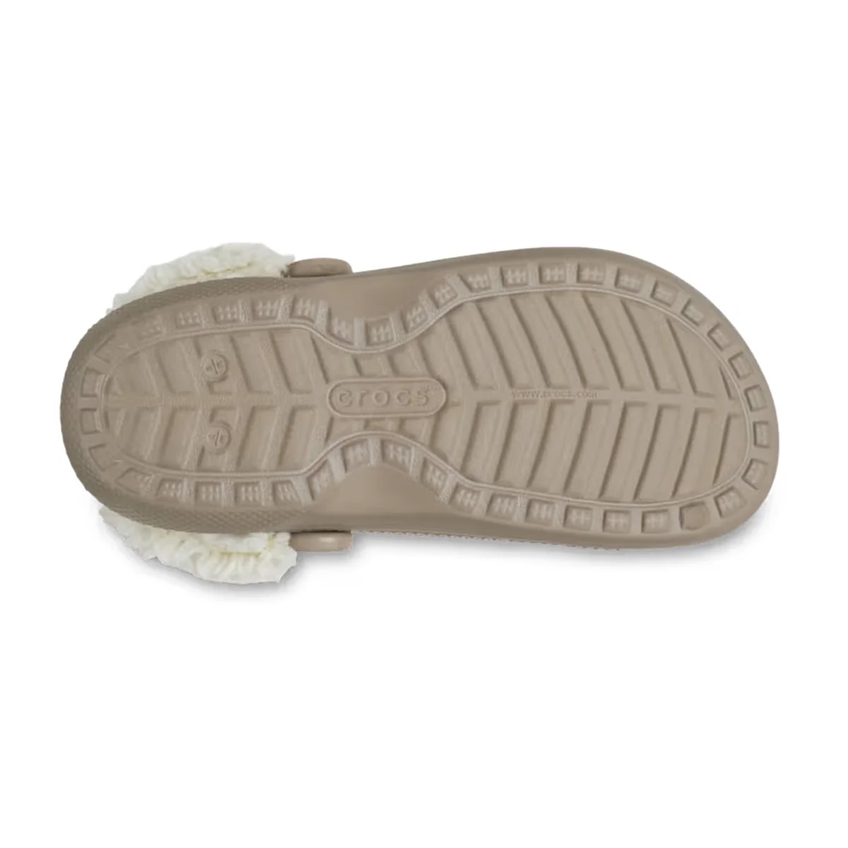 color:Mushroom alt:ALT130