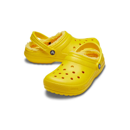 color:Lemon / Lemon alt:ALT110