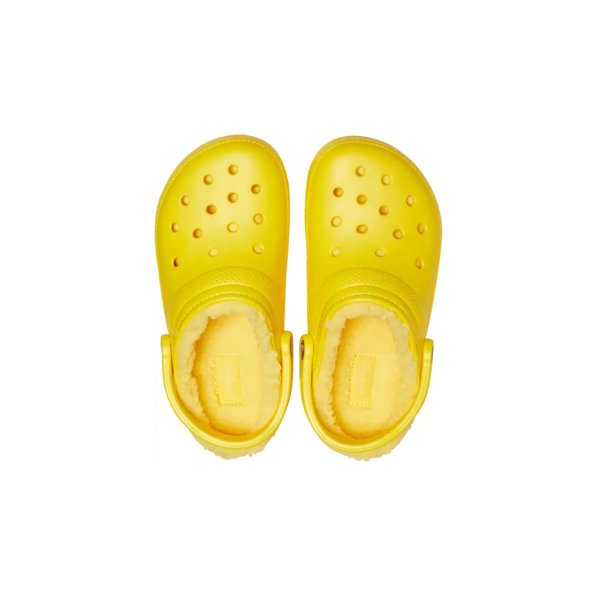 color:Lemon / Lemon alt:ALT120
