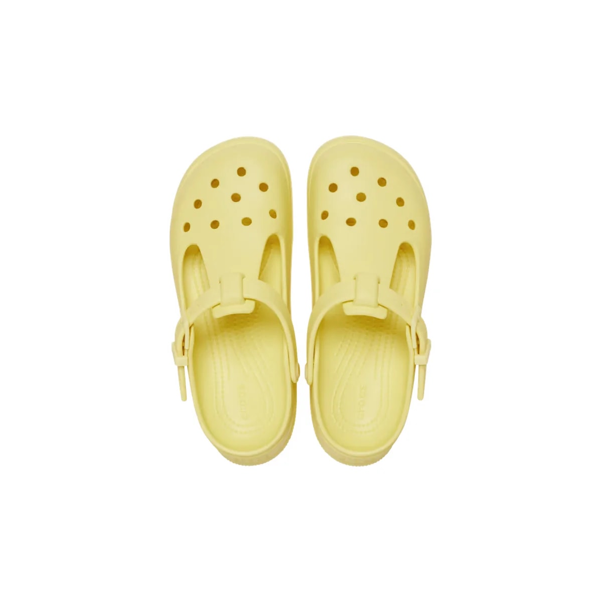color:Daylily alt:ALT120
