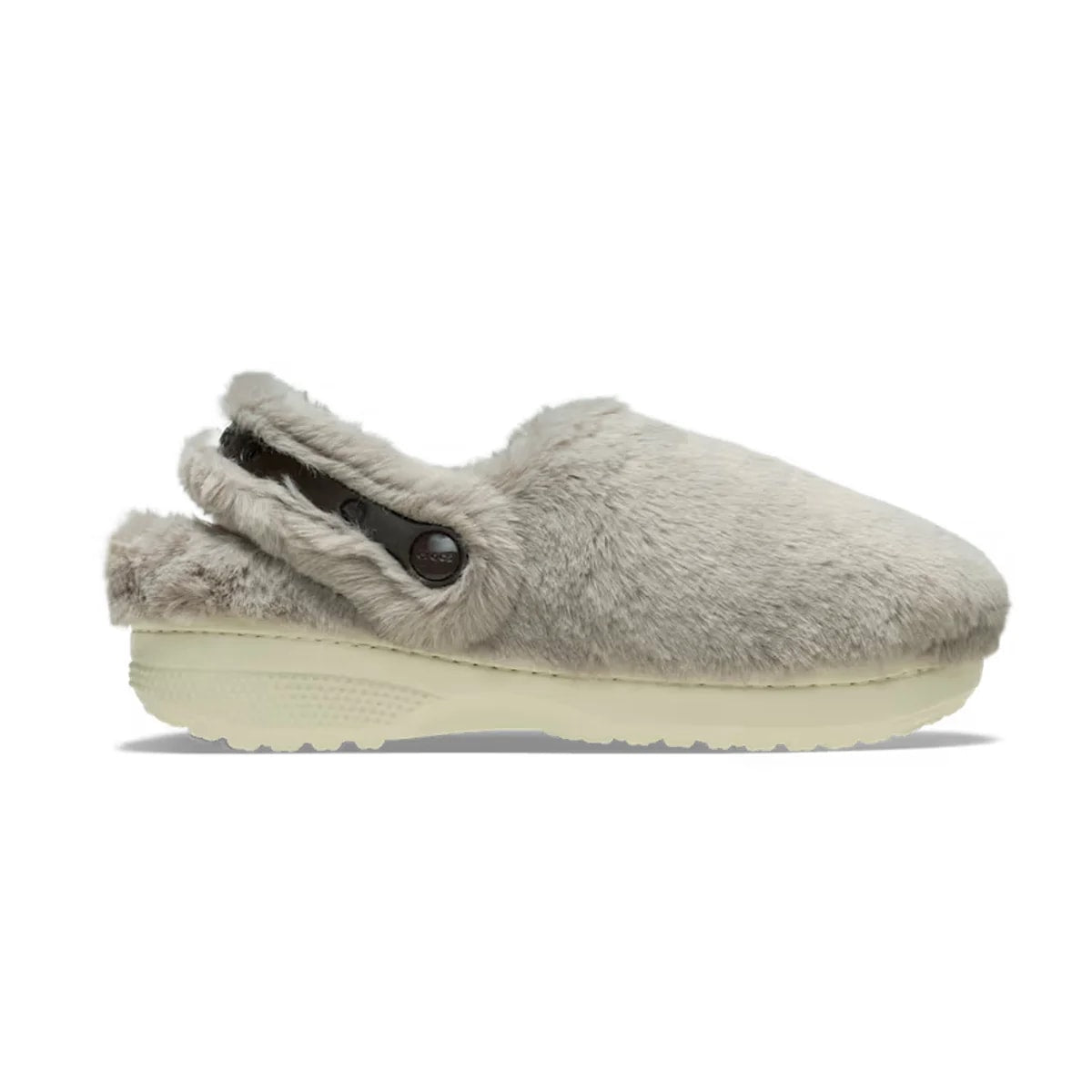 color:Mushroom alt:ALT100
