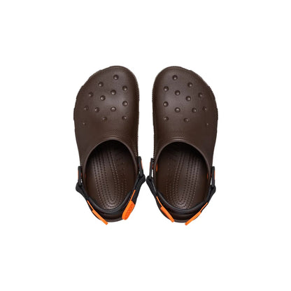 color:Coffee alt:ALT120