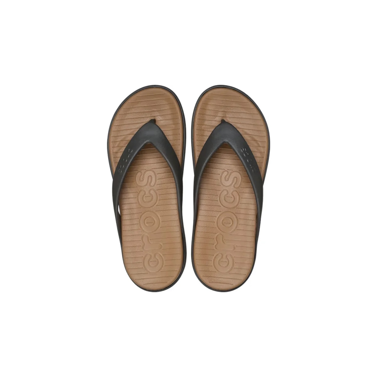 color:Sepia/Dark Cocoa alt:ALT120