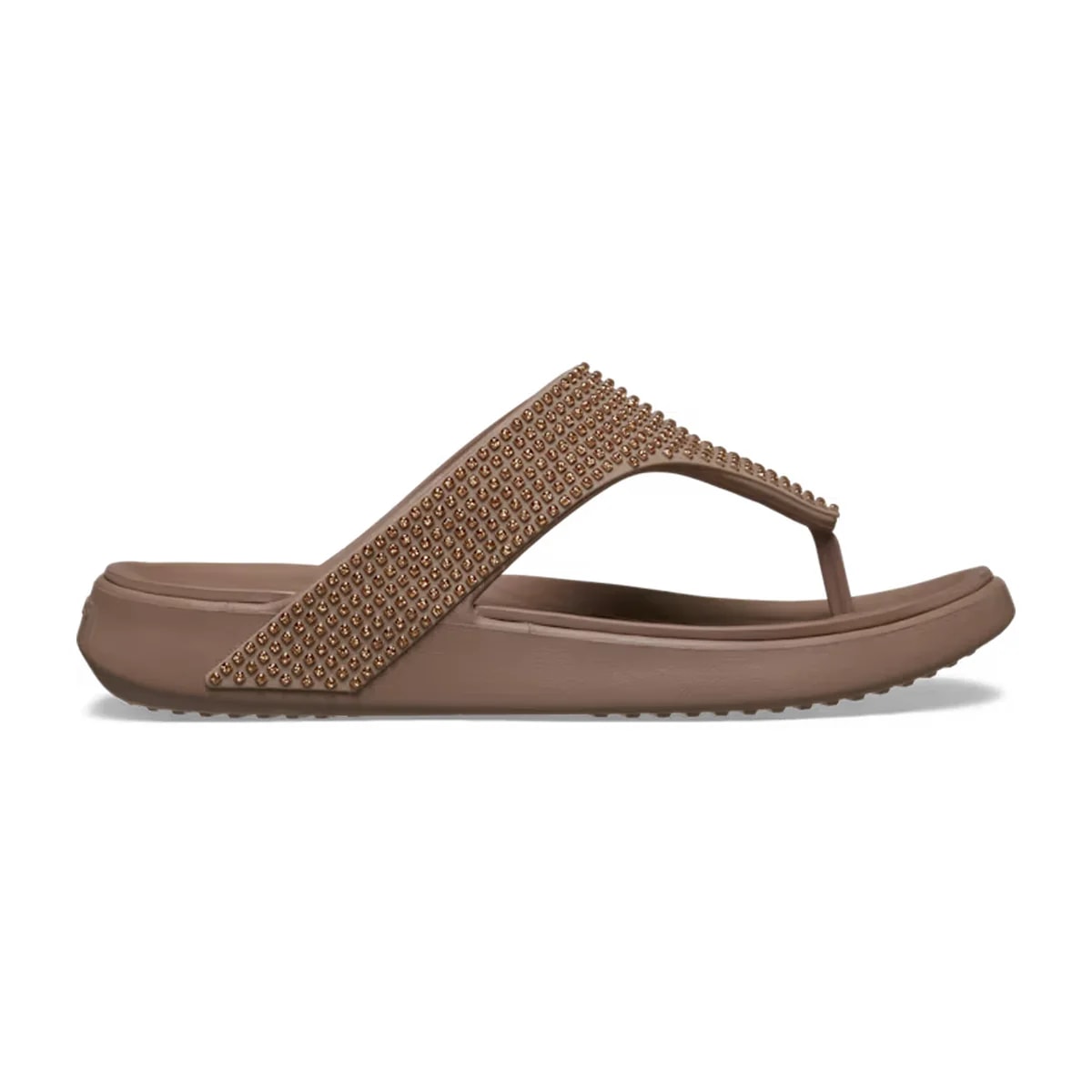 color:Latte alt:ALT100