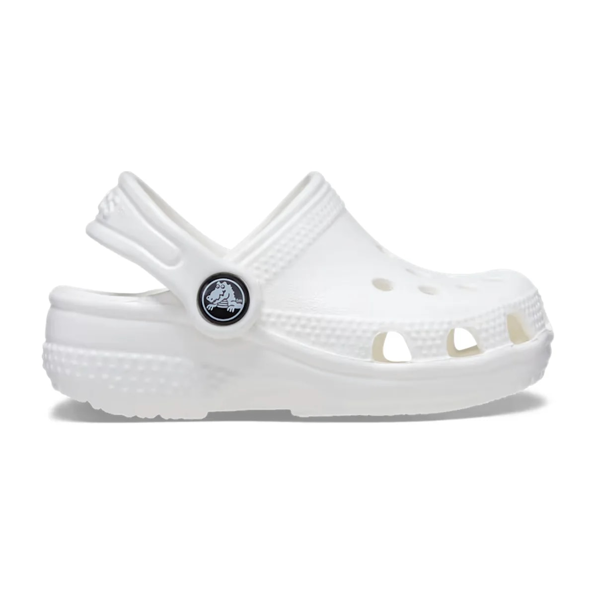 color:White alt:ALT100