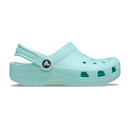 color:Aquamarine alt:ALT100