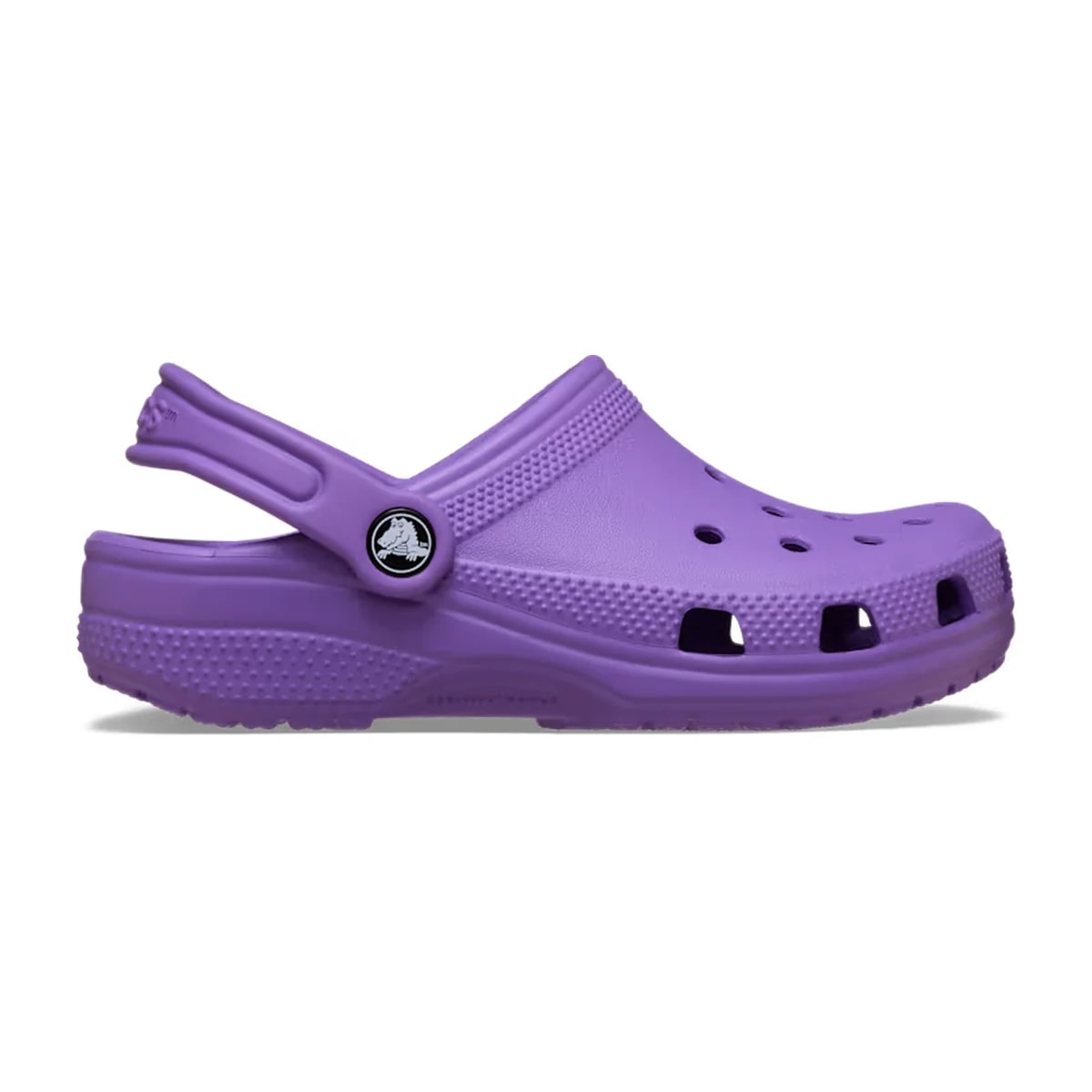 color:Purple alt:ALT100