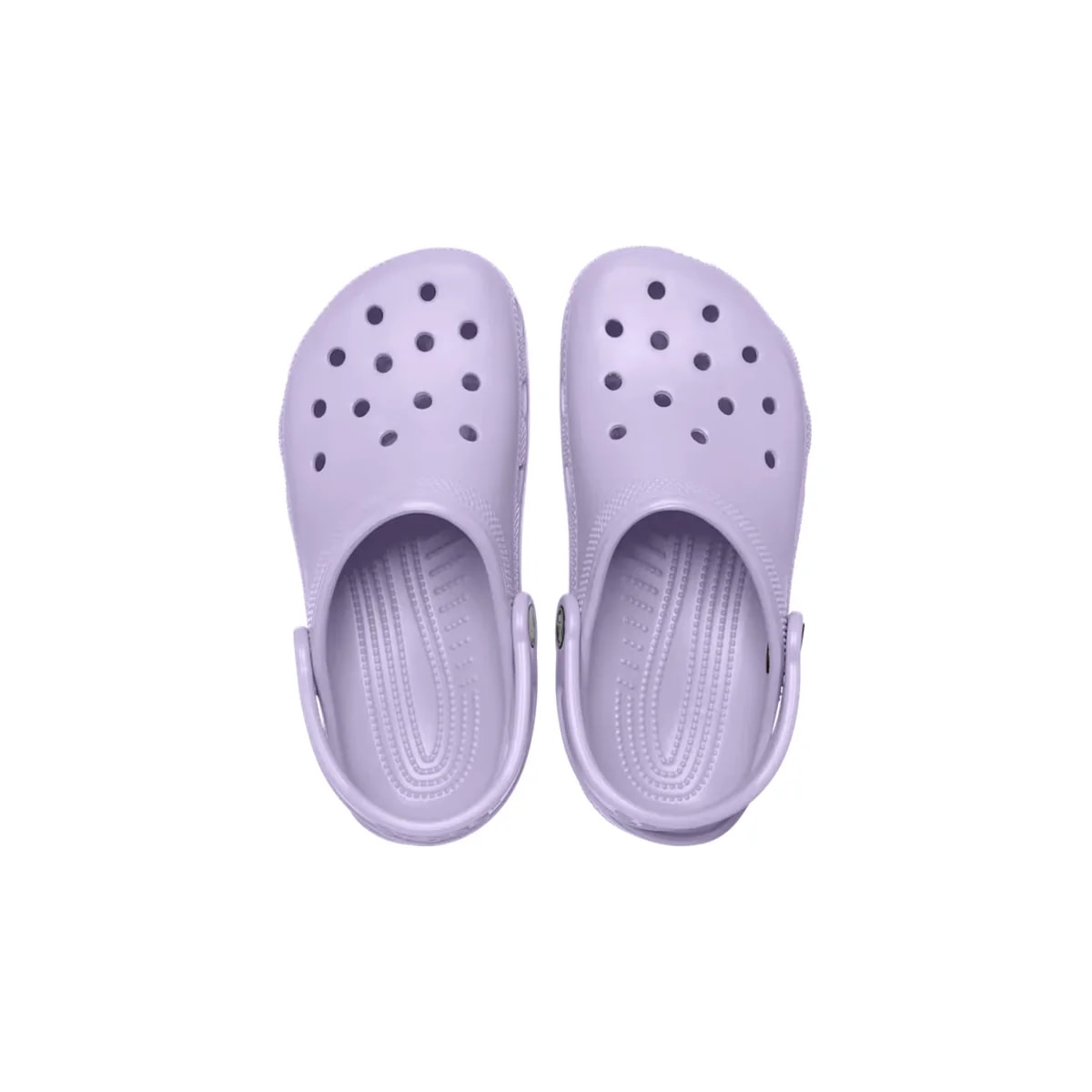color:Lavender alt:ALT120