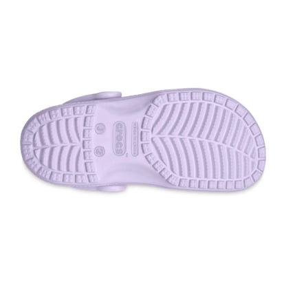 color:Lavender alt:ALT130