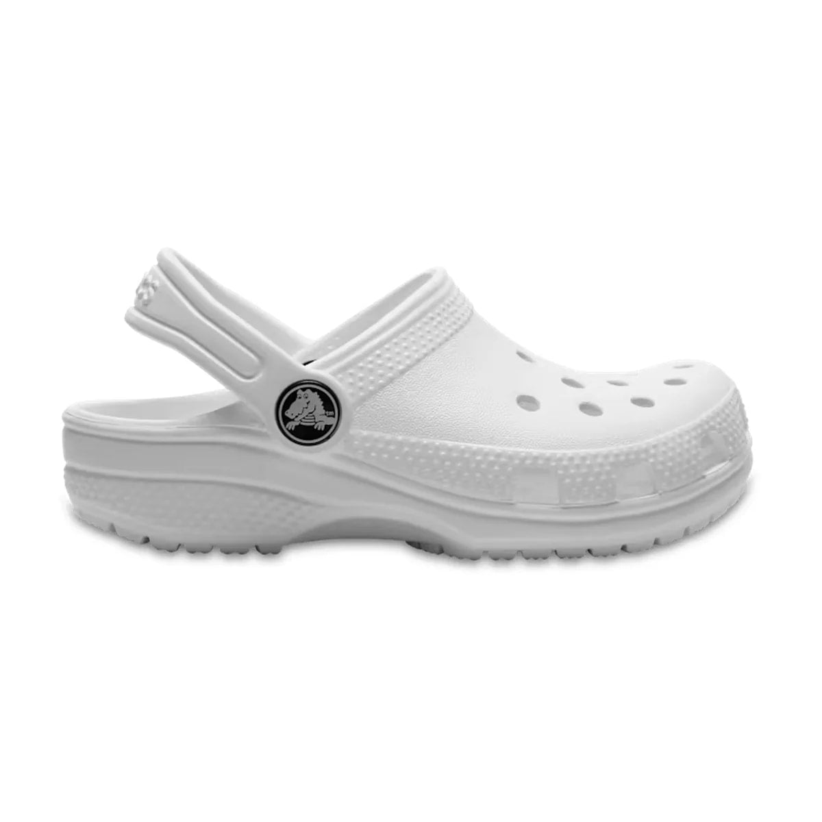 color:White alt:ALT100