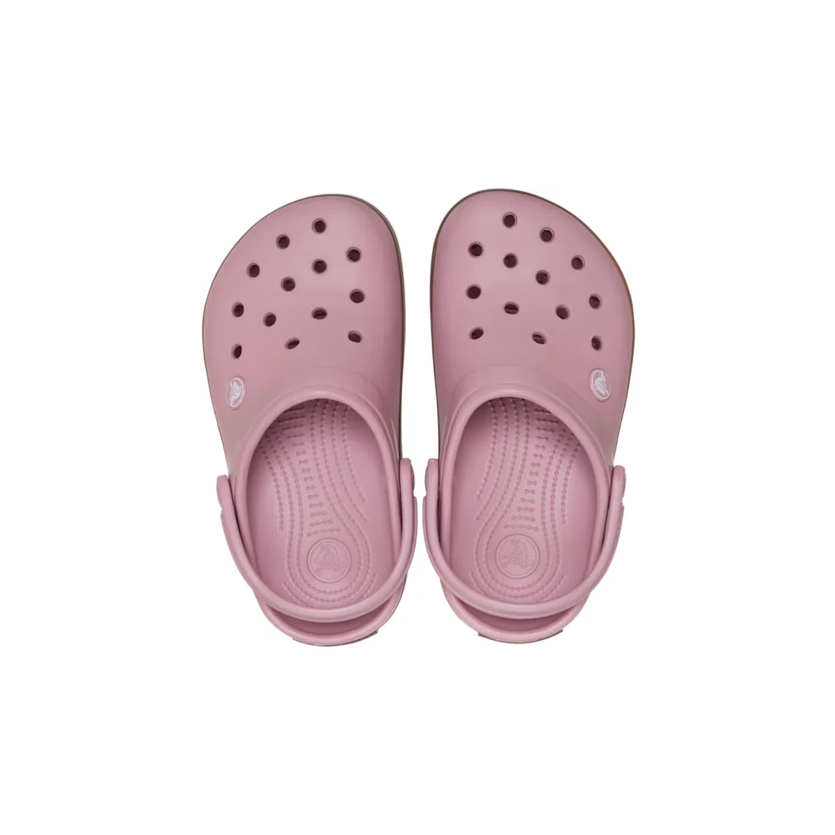 color:Mauve/Gum alt:ALT120