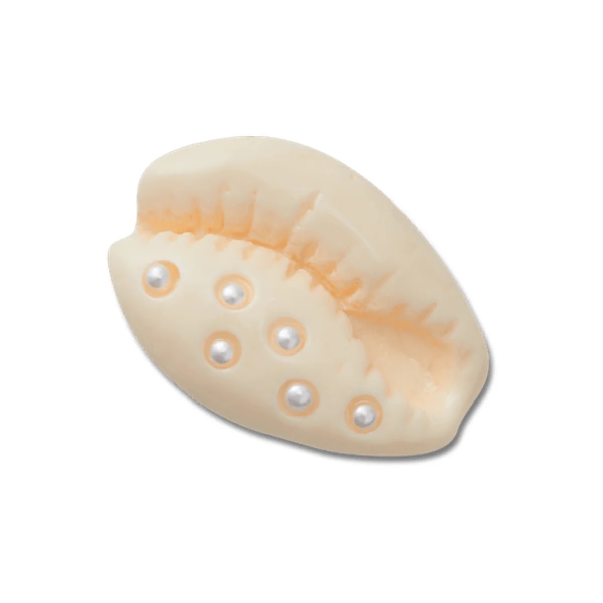 Pearl Puka Shell
