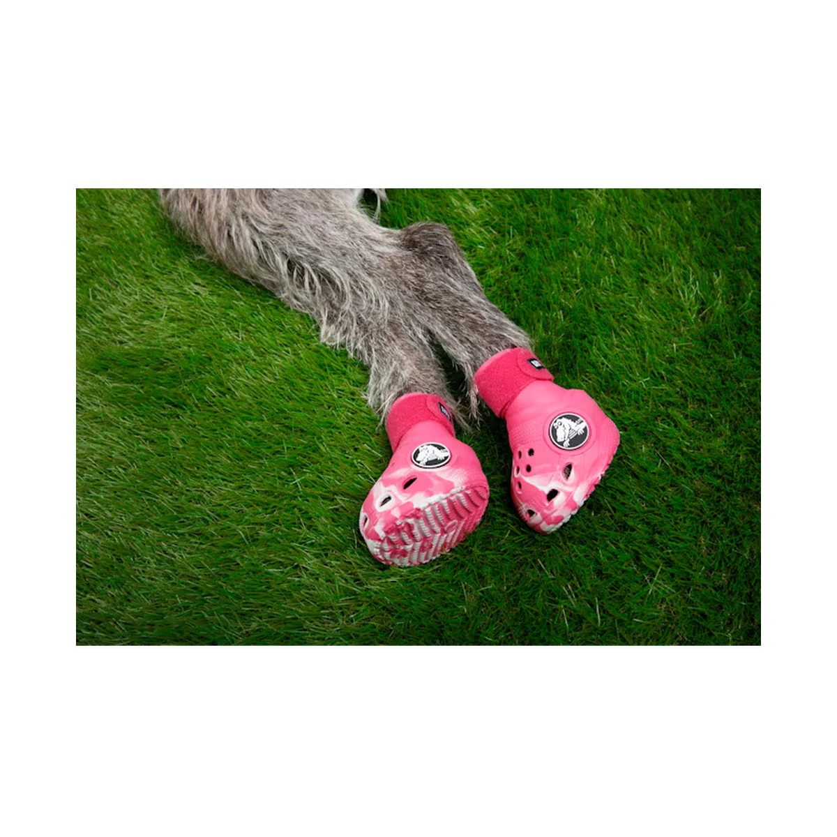 color:Dragon Fruit alt:ALT140