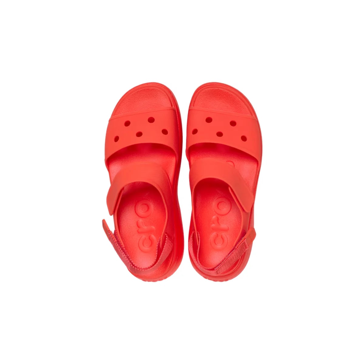 color:Starfish alt:ALT120