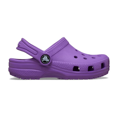 color:Purple alt:ALT100