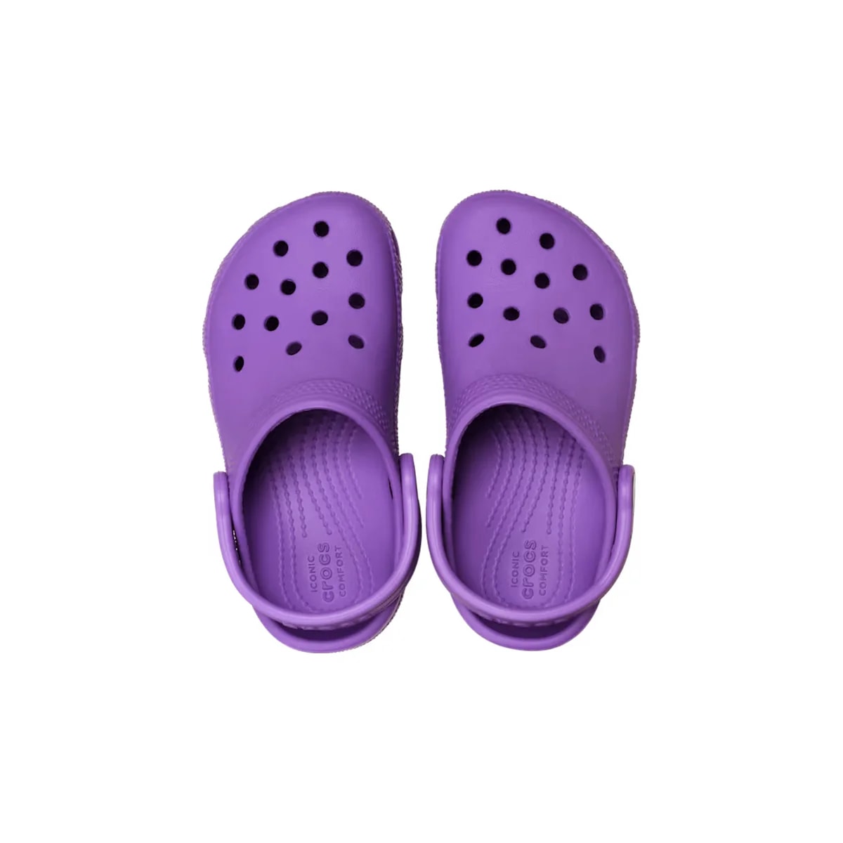 color:Purple alt:ALT120