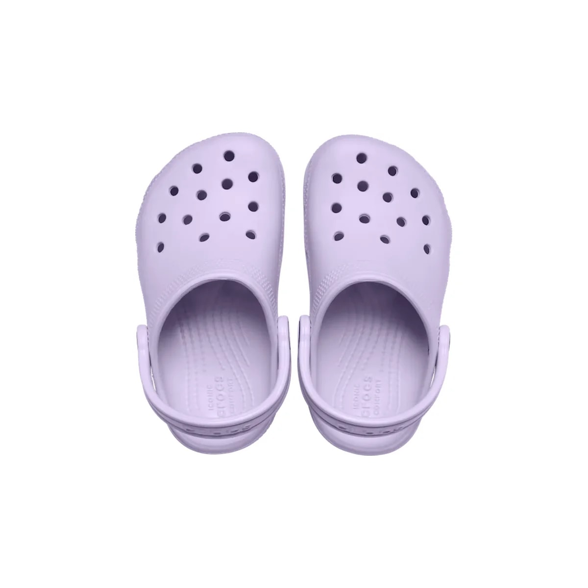 color:Lavender alt:ALT120
