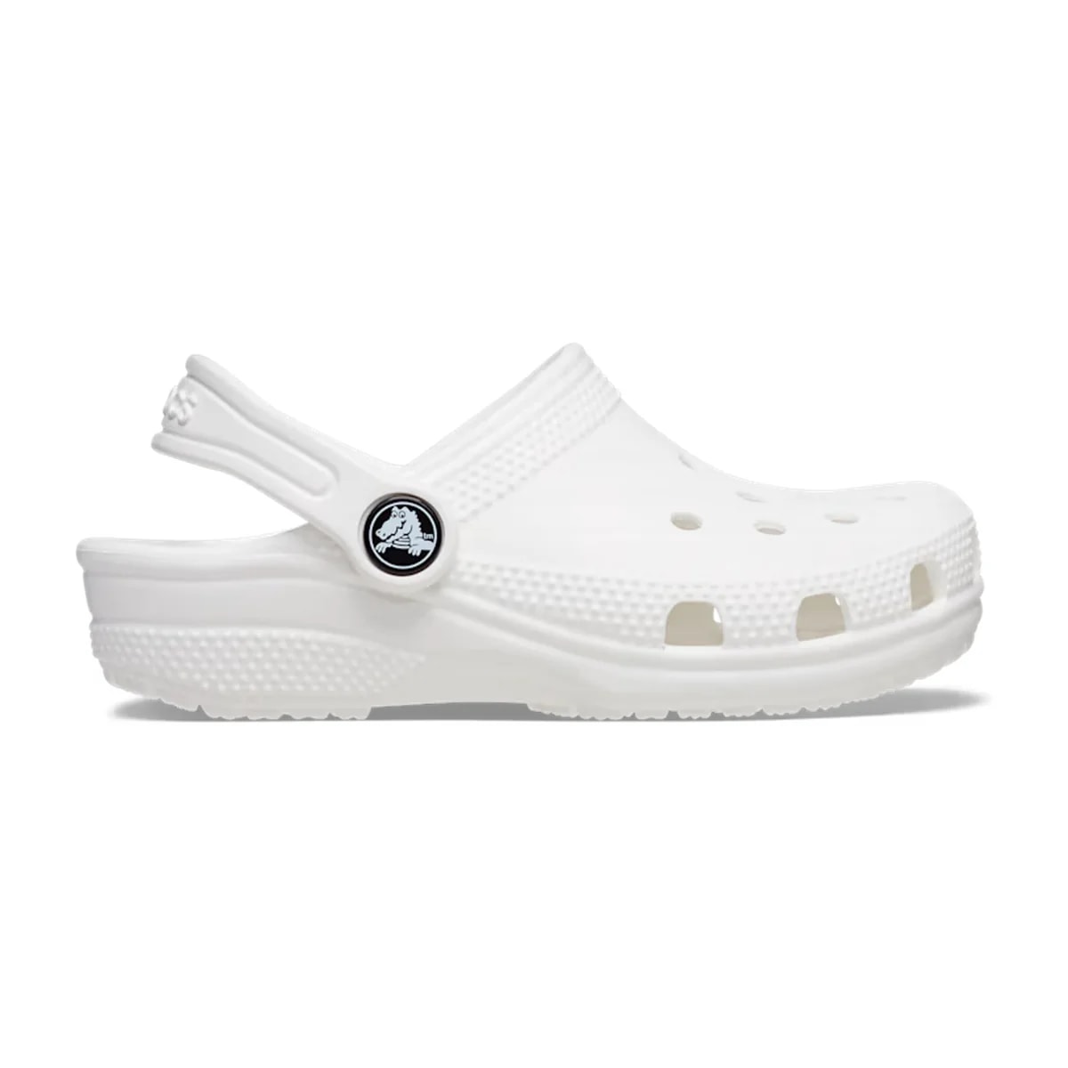 color:White alt:ALT100