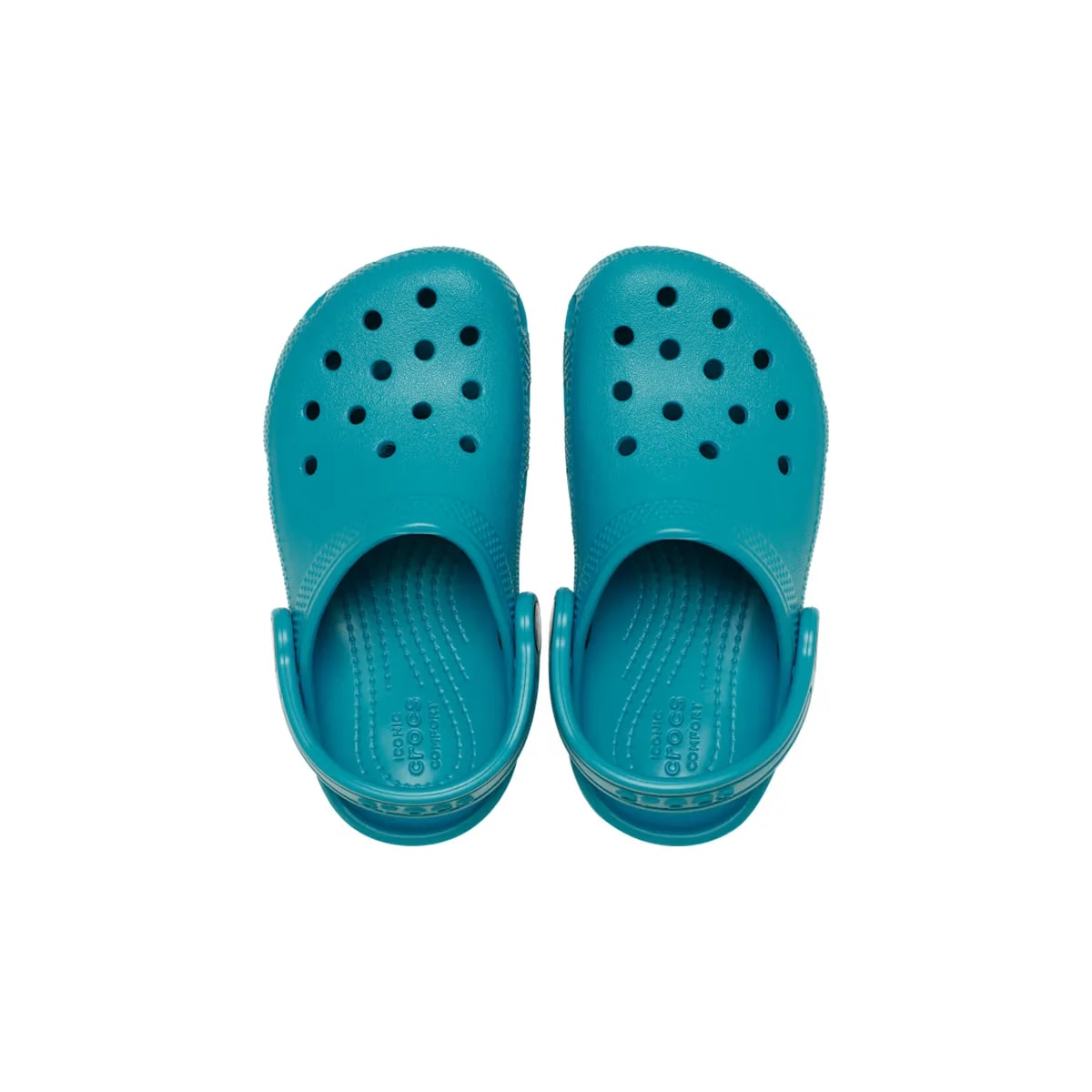 color:Turbo Teal alt:ALT120