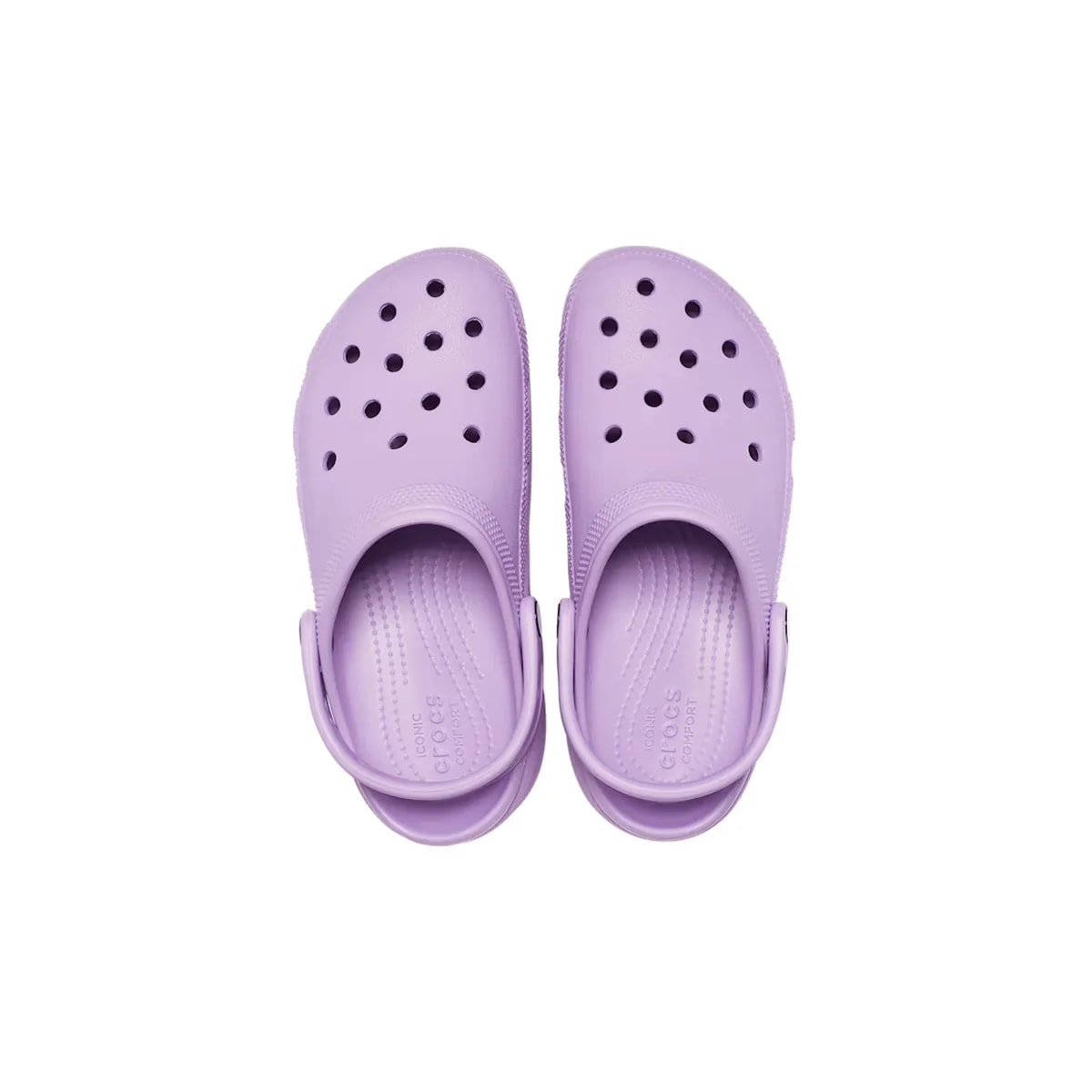 color:Orchid alt:ALT120