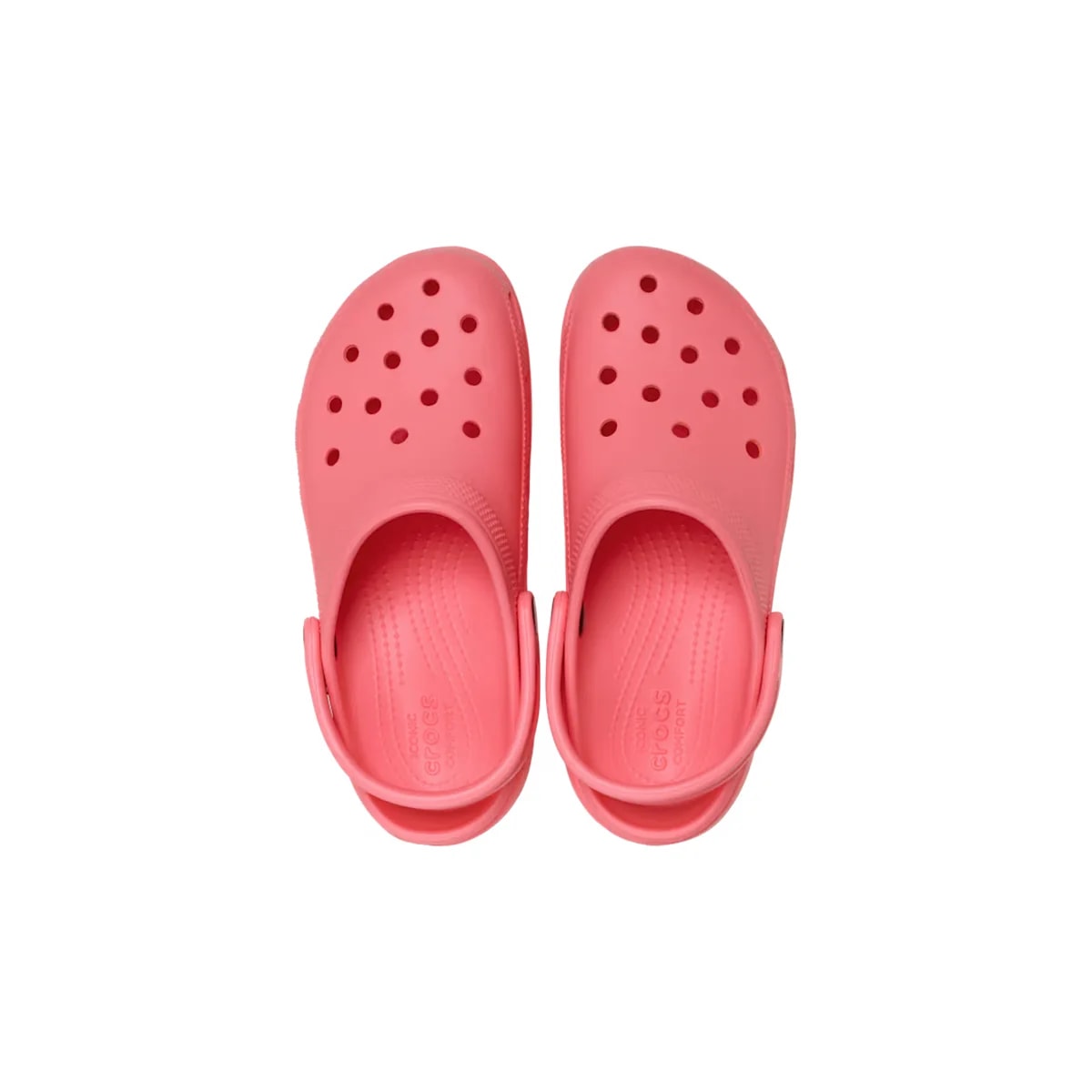 color:Guava alt:ALT120