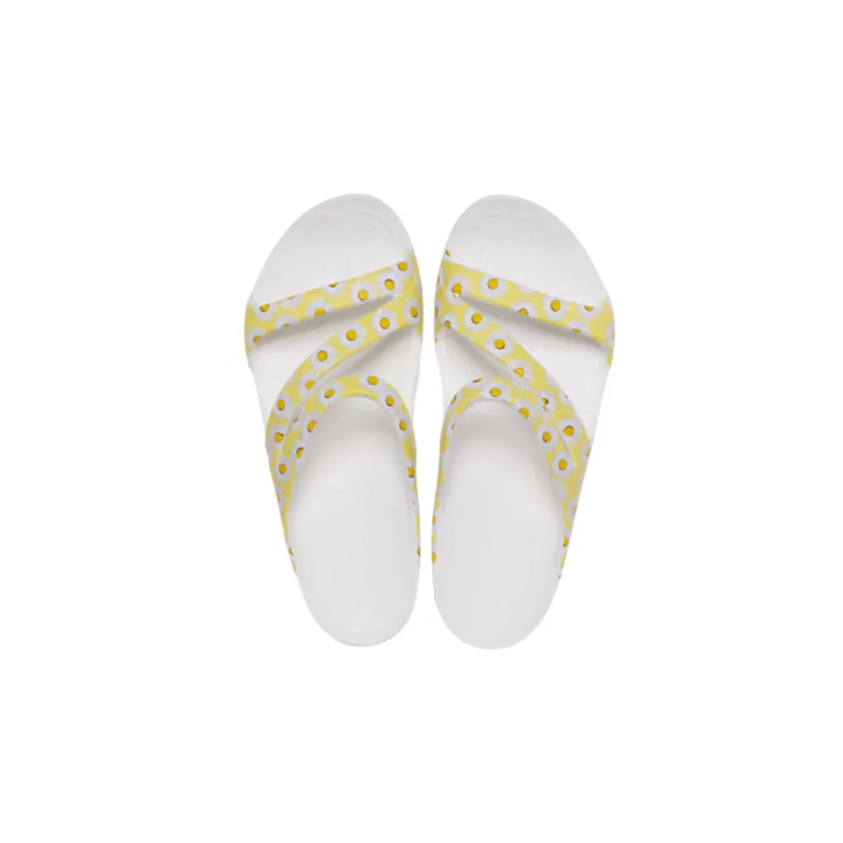color:White / Yellow Daisy alt:ALT120